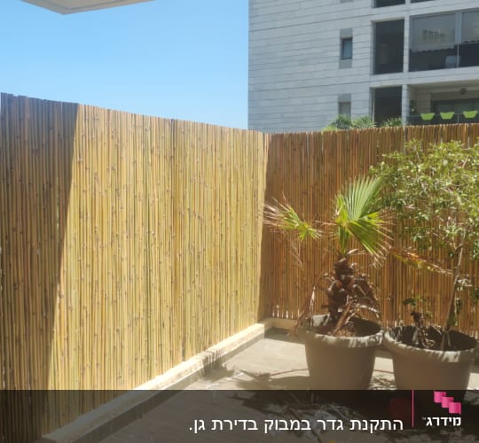 גדר במבוק ועציצים במרפסת